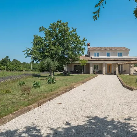 Luxurious In * Buje